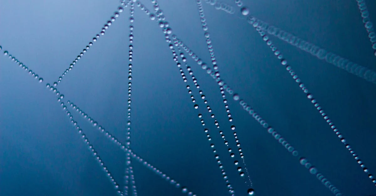 Güvenli FTP Bağlantı Protokolleri: Verilerinizi Korumak İçin Bilmeniz Gerekenler