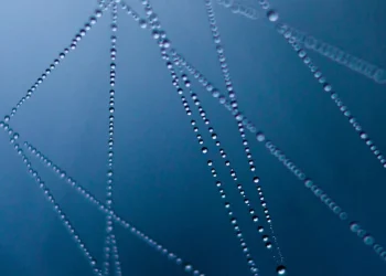 Windows OS ile Verimliliğinizi Artırmanın 10 Yolu